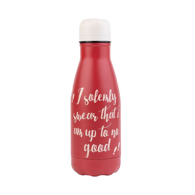 Botella Acero Inoxidable Mapa Del Merodeador Harry Potter 260Ml