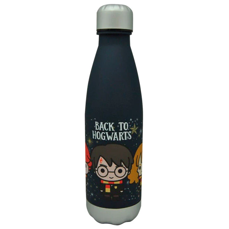 Botella Back To Hogwarts Harry Potter 650Ml
