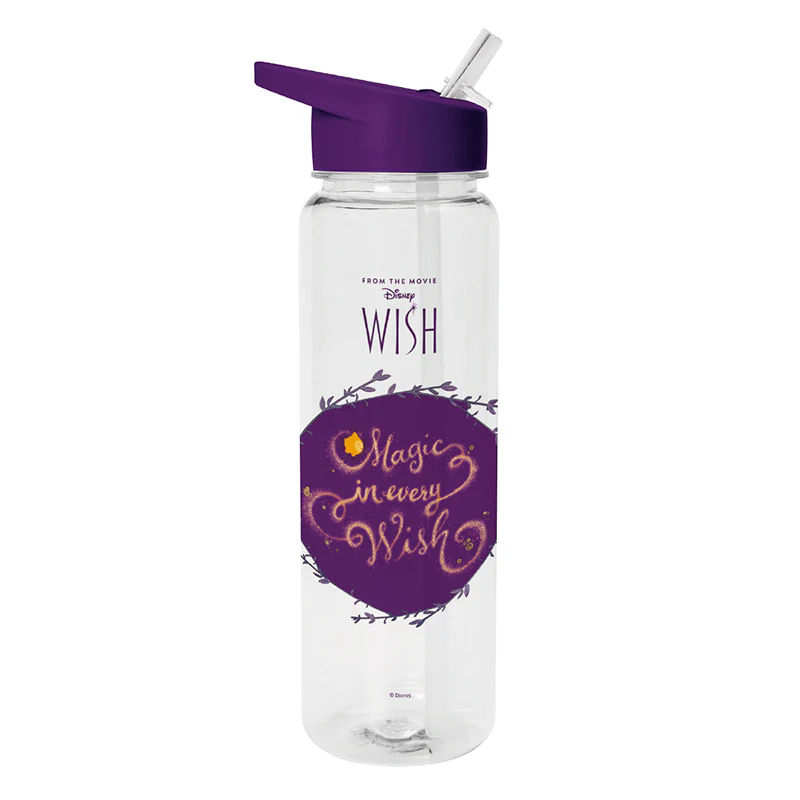 Cantimplora Wish Disney 700Ml
