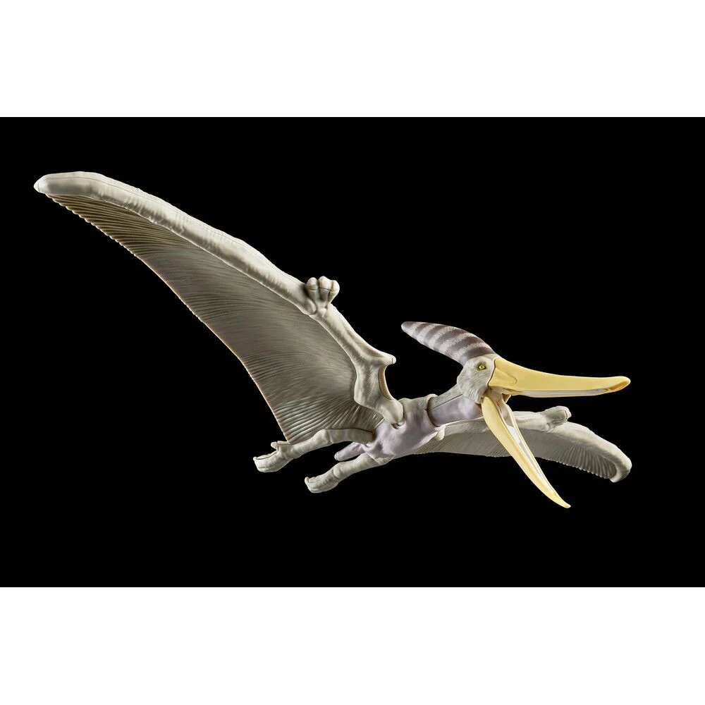 Figura Model Kit Pteranodon Plannosaurus - Image 2