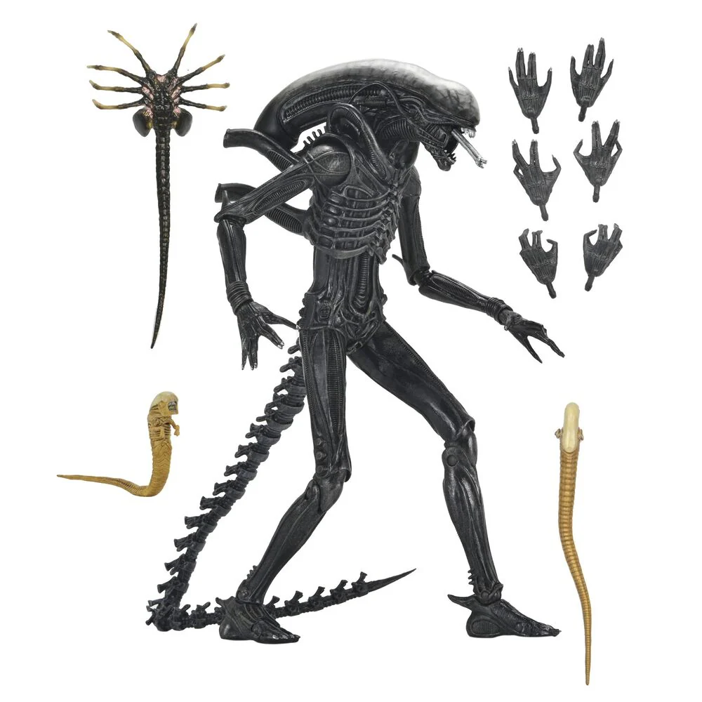 Figura Ultimate Xenomorph Alien: Romulus 18Cm