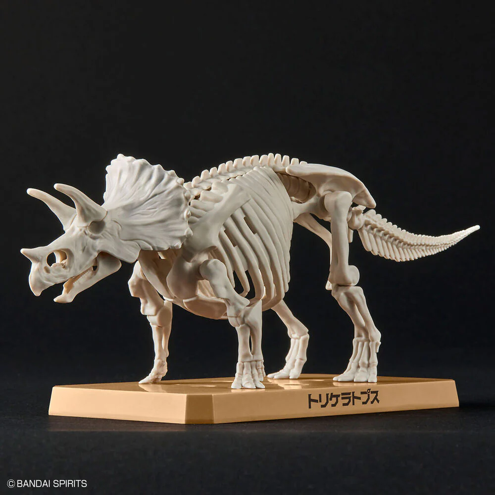 Maqueta Plannosaurus Triceratops - Image 5