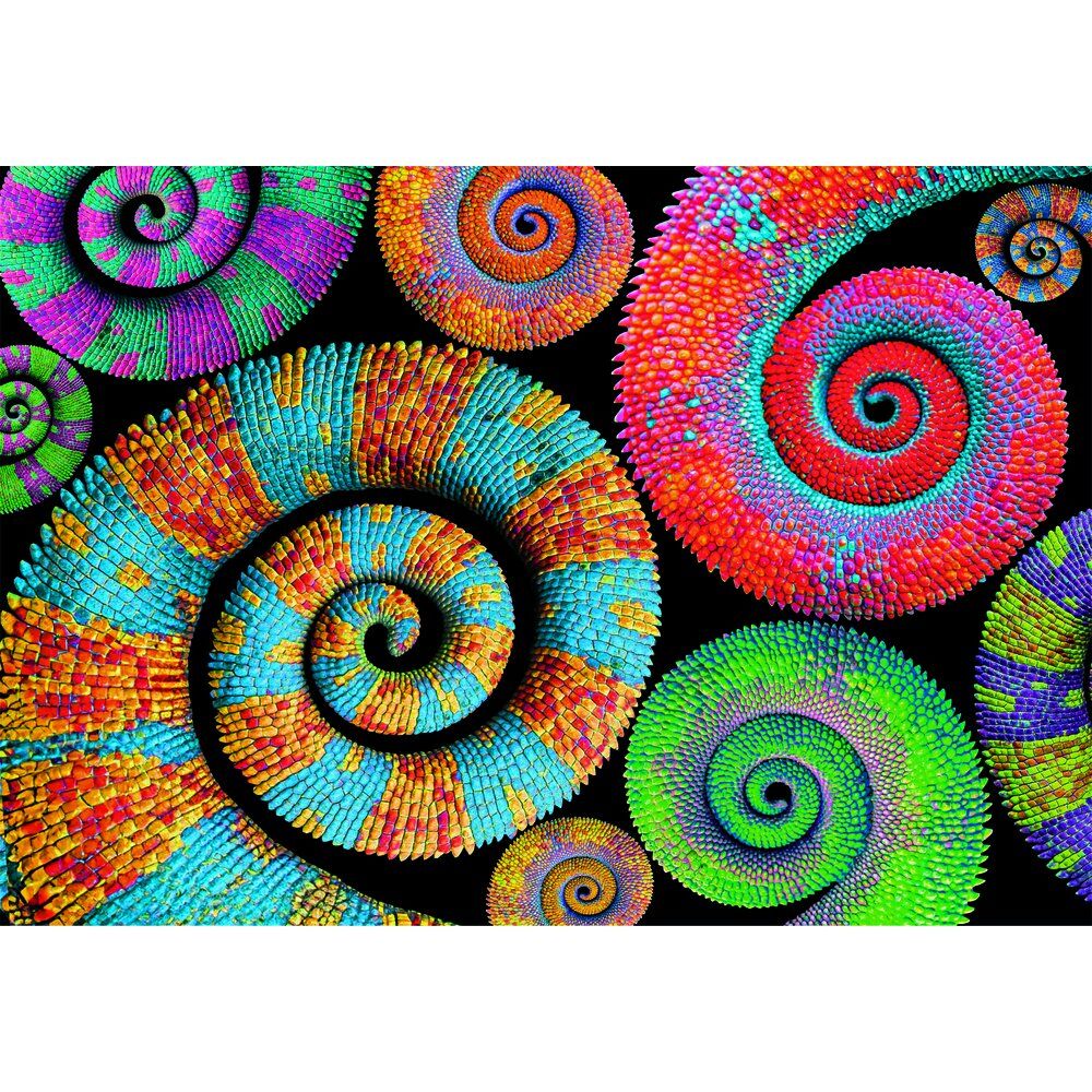 Puzzle Curly Tails Color Boom 500Pzs - Image 2